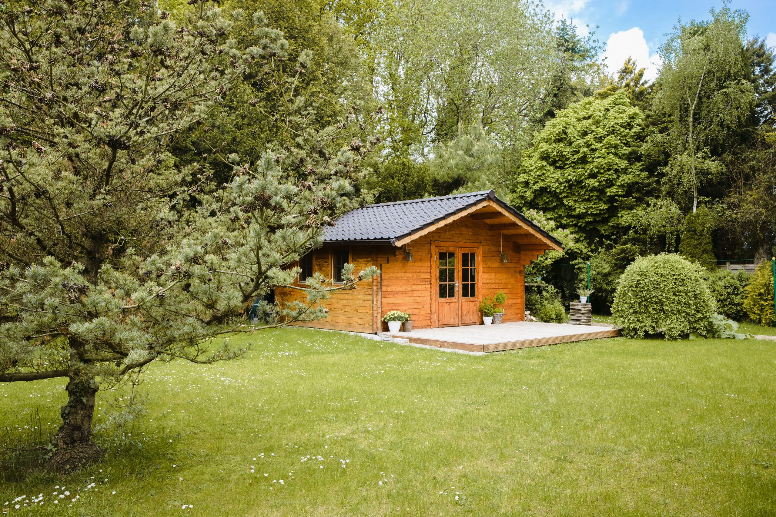 Chalet type Alpage