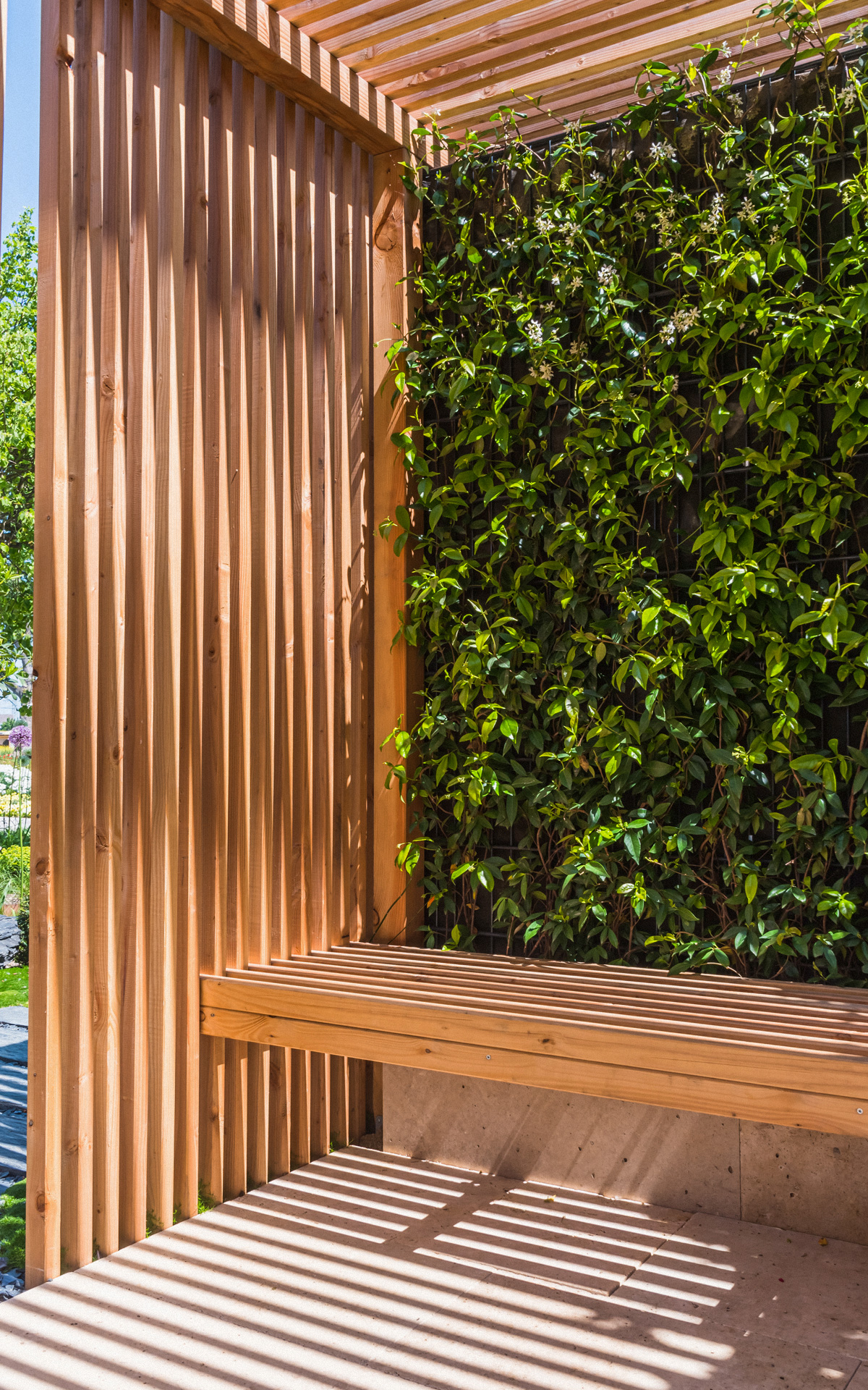 Pergola banc
